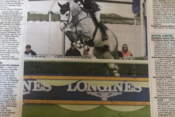 krantenartikel Dublin Horse Show 2019